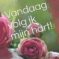 Cover-Hart