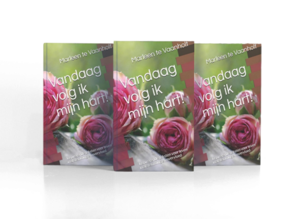 Vandaag-volg-ik-mijn-hart-paperback-5