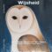 Cover Kaya's wijsheid