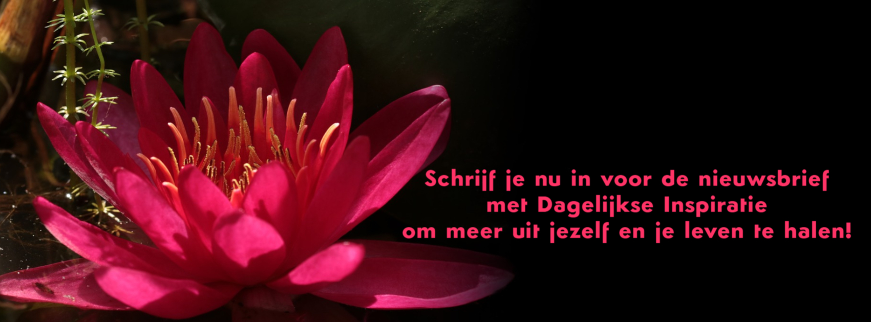 header-DI-FB header dagelijkse inspiratie