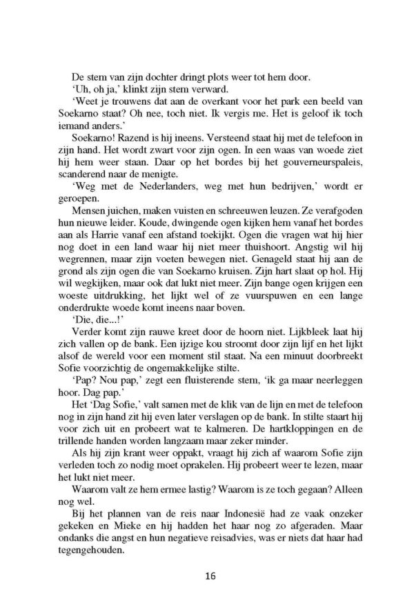 Ouvertures-ver-verleden-inkijk_Pagina_16