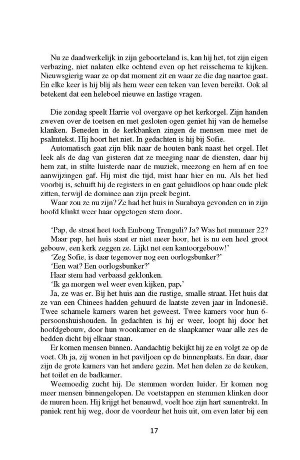Ouvertures-ver-verleden-inkijk_Pagina_17