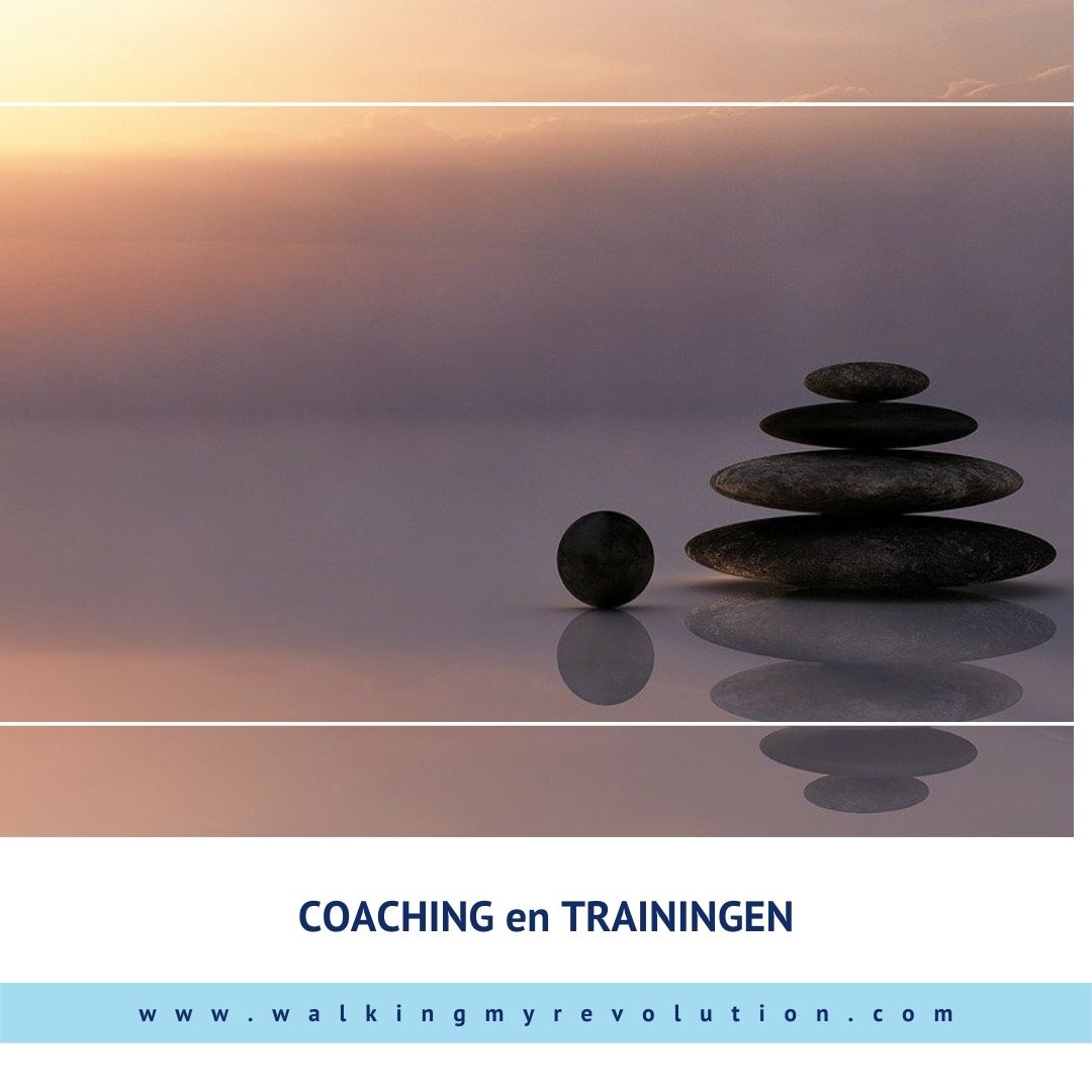 Coaching training-shop-insta