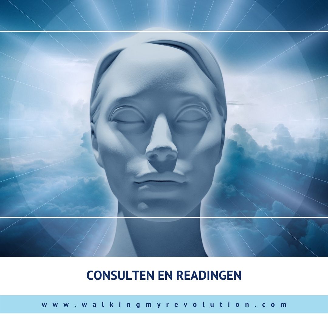Consulten-en-Readingen-shop-Insta Consulten-en-Readingen-shop-Insta