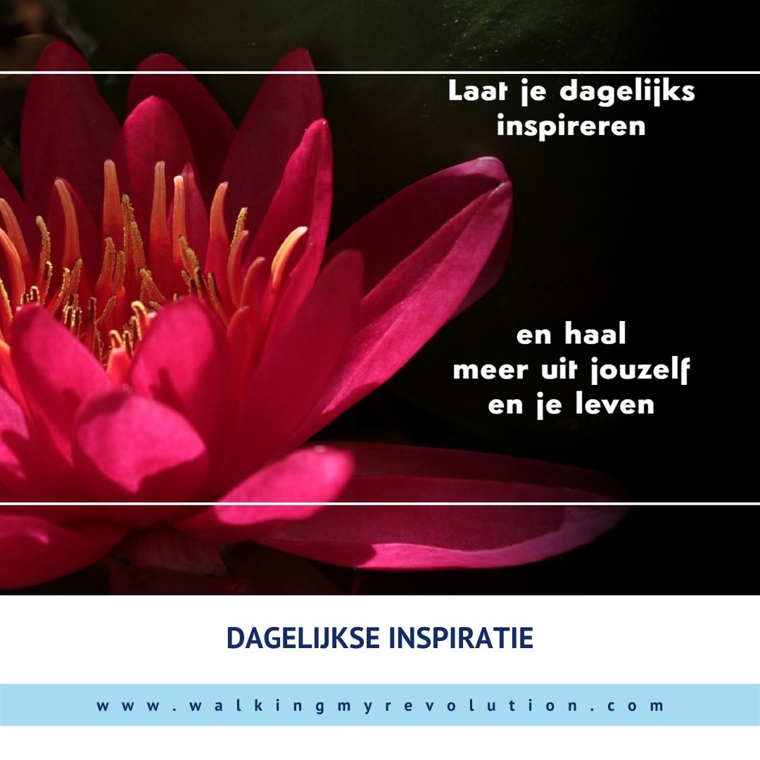 Dagelijkse-Inspiratieshop-Instagram Dagelijkse-Inspiratieshop-Instagram