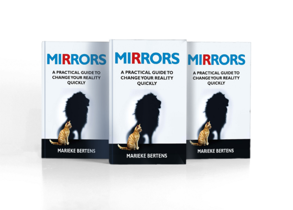 mirrors-pb-8