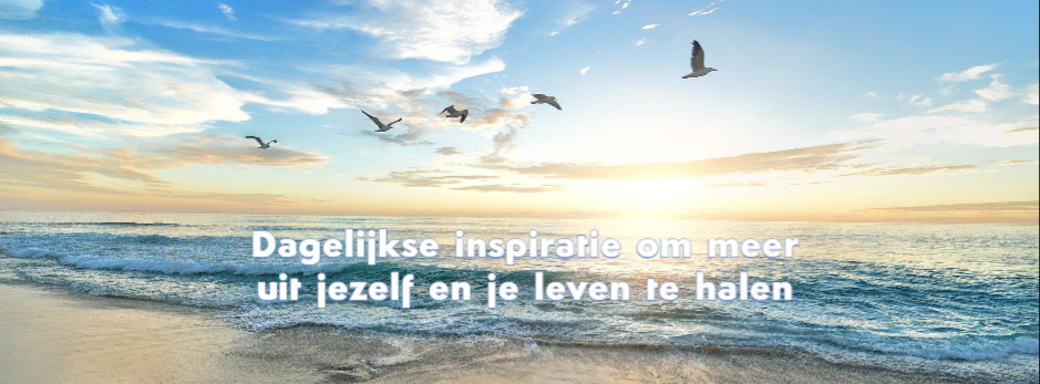 DI-Header-nl DI-Header-nl