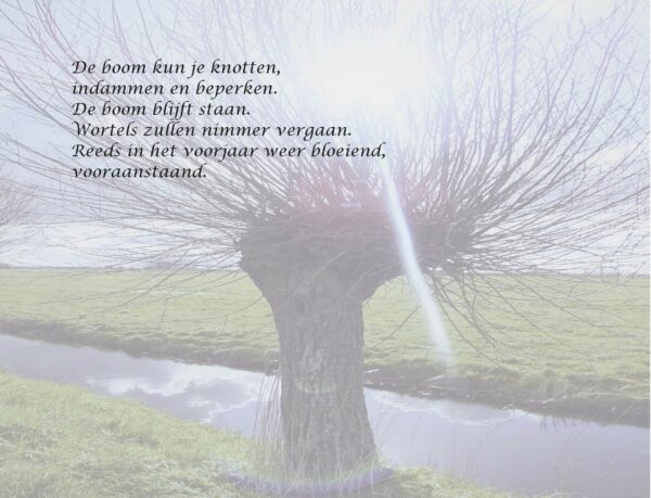 Metliefdegezaaid-20230329-INKIJK_Pagina_7 Inkijk-Met liefde gezaaid-5