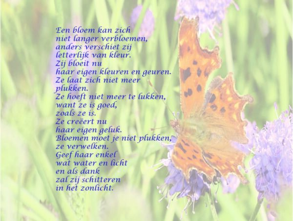Metliefdegezaaid-20230329-INKIJK_Pagina_9 Inkijk-Met liefde gezaaid-7