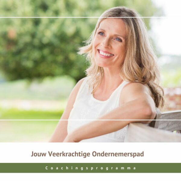Jouw Veerkrachtige Ondernemerspad shop