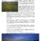 wrede-schoonheid-onze-natuur-20250814-INKIJK_Pagina_15