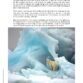 wrede-schoonheid-onze-natuur-20250814-INKIJK_Pagina_18